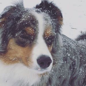 Meet your Posher, Kelsey